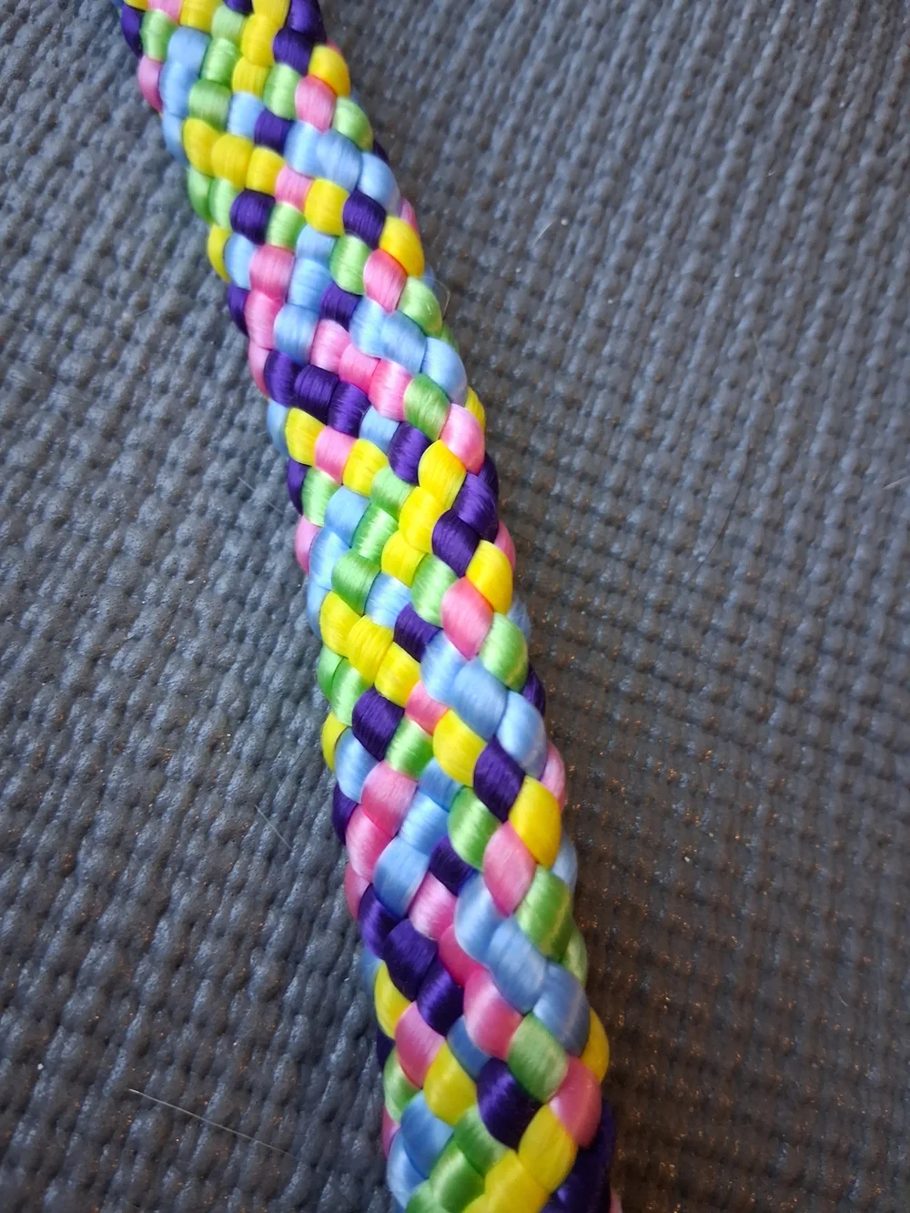 Braided Multicolor Rope Dog Leash - Neon Mix